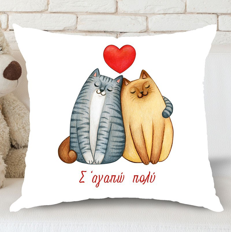 Εκτύπωση σε μαξιλάρι